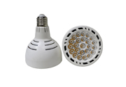 LED-PAR30-O-30W